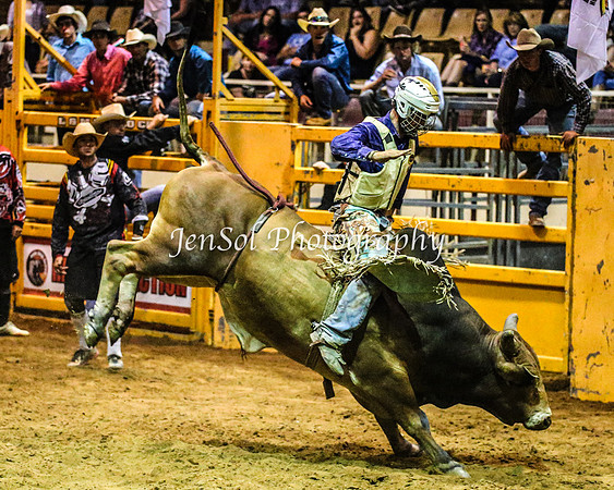 RealDealRodeoFeb2014_2125