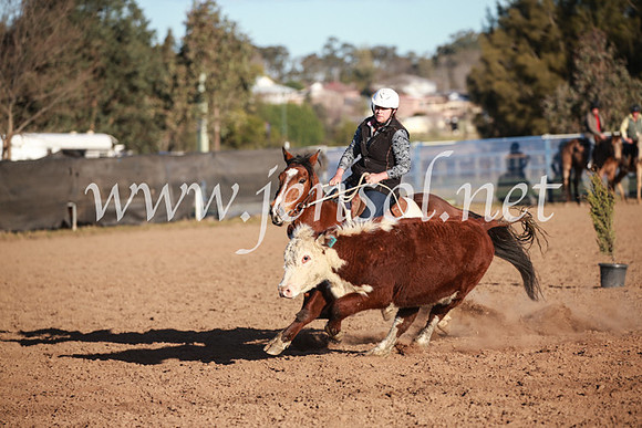 CCCampdraft2016_6739