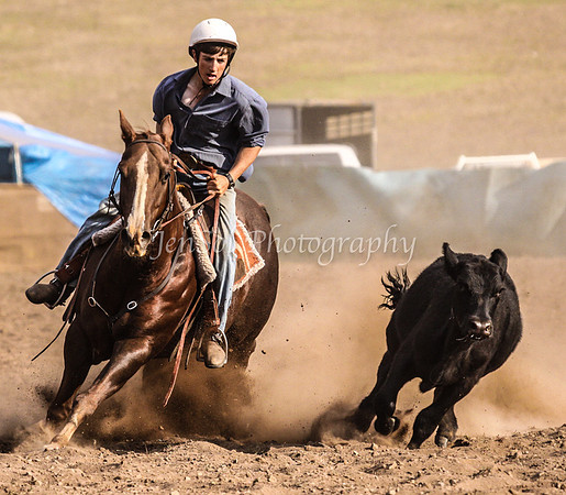 IMG_0863CabSat