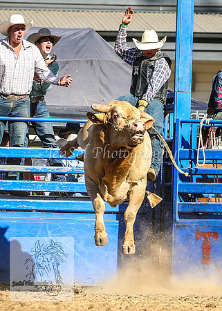TumbarumbaRodeoNYD2025_1770