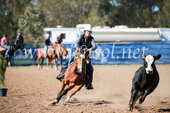 CCCampdraft2016_5288