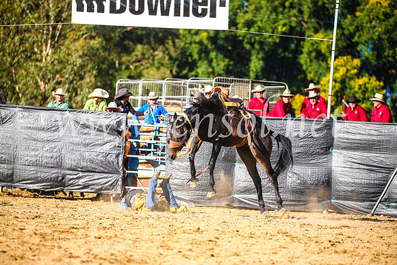 TumutRodeo2017_2429