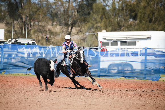 CCCampdraft2016_5402