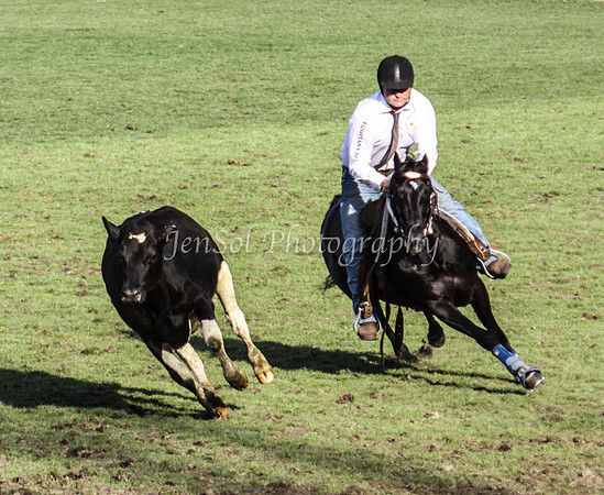 EquitanaSat_1055