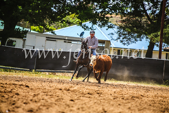 OrangeCampdraft2017_5074