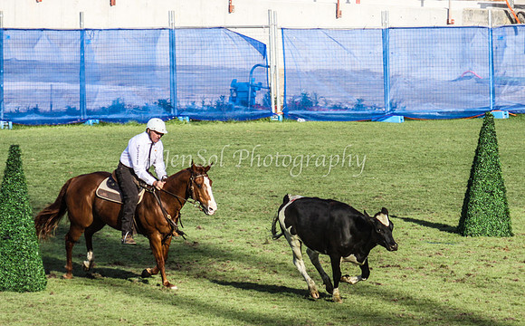 EquitanaSat_1069