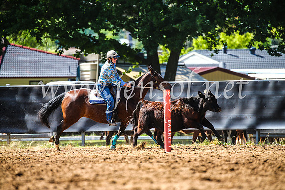 OrangeCampdraft2017_4234