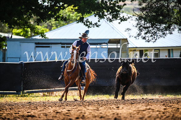 OrangeCampdraft2017_4150