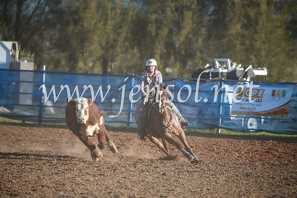 CCCampdraft2016_6738