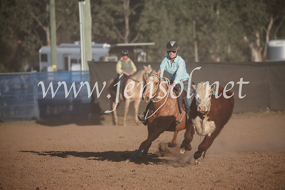 CCCampdraft2016_6777