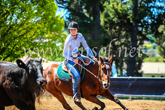 OrangeCampdraft2017_4558