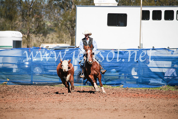 CCCampdraft2016_5514