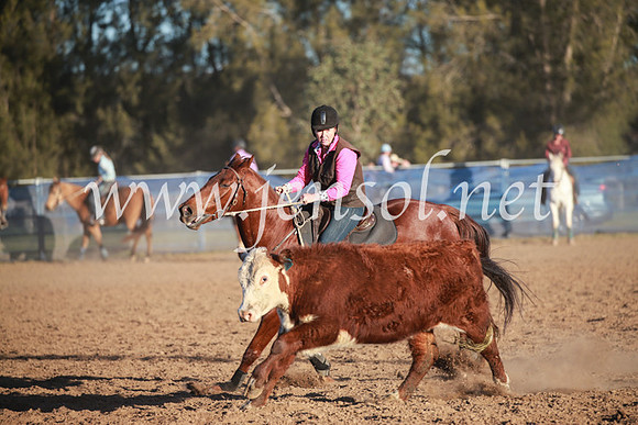 CCCampdraft2016_6839