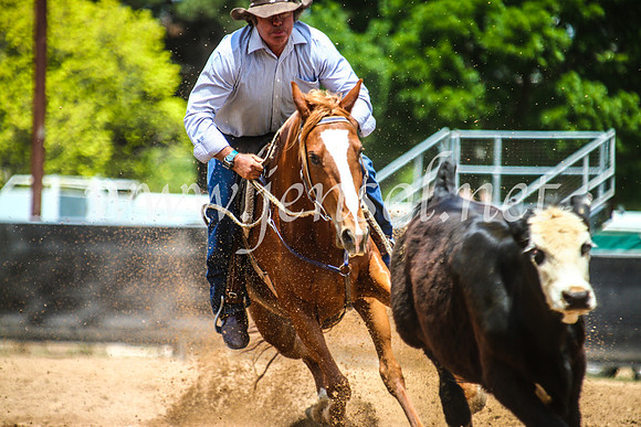 OrangeCampdraft2017_5281
