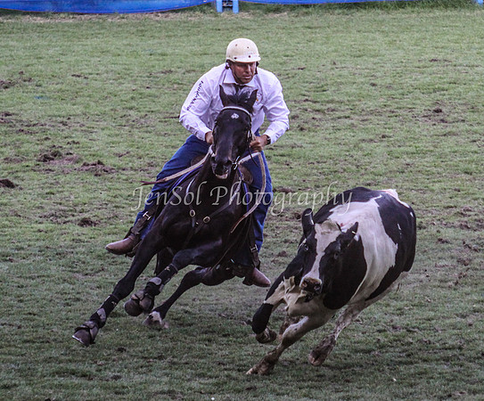 EquitanaSat_1119