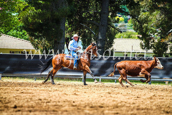OrangeCampdraft2017_4761