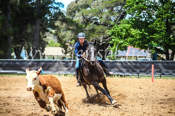 OrangeCampdraft2017_5126