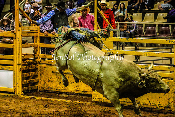 RealDealRodeoFeb2014_2042