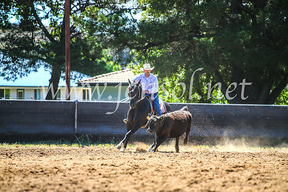 OrangeCampdraft2017_4520