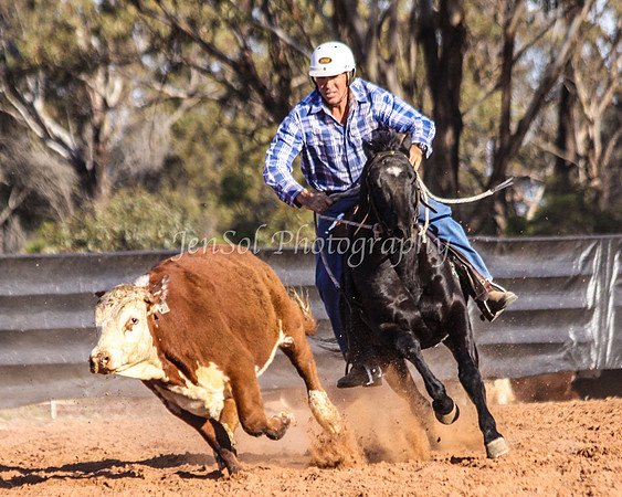 Wwyalong0916