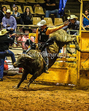 RealDealRodeoFeb2014_2149