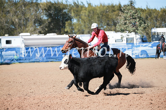 CCCampdraft2016_5508
