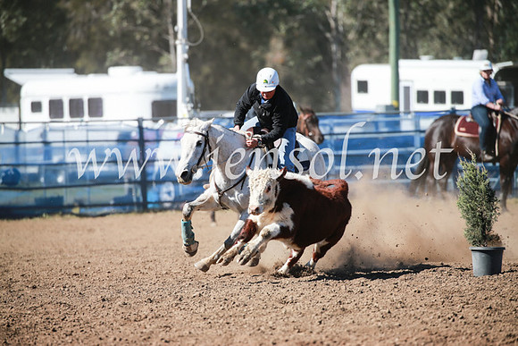 CCCampdraft2016_5526