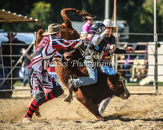 TumutRodeo2014_1570