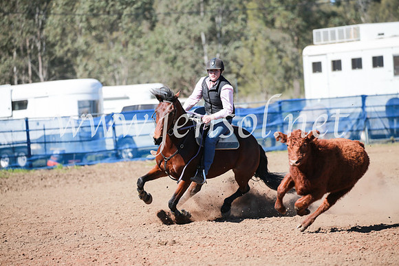 CCCampdraft2016_6007