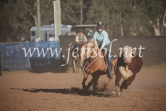 CCCampdraft2016_6775