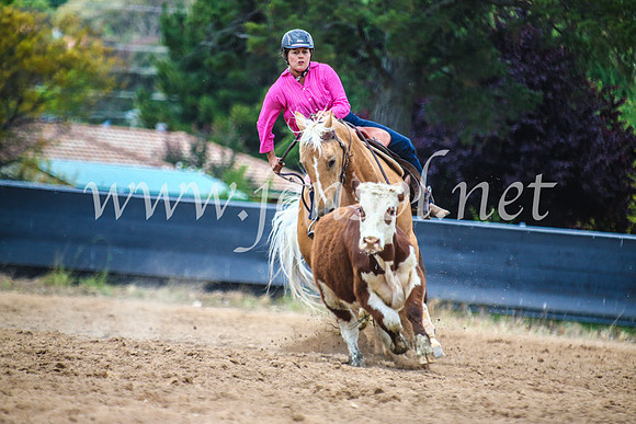 OrangeCampdraft2017_5231