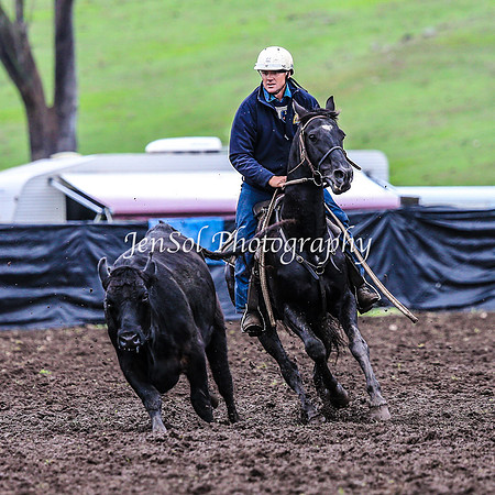 CabanandraCampdraft2014_1674