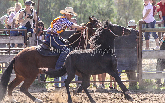 Corryong09 253