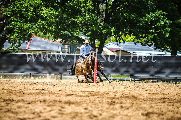 OrangeCampdraft2017_5065