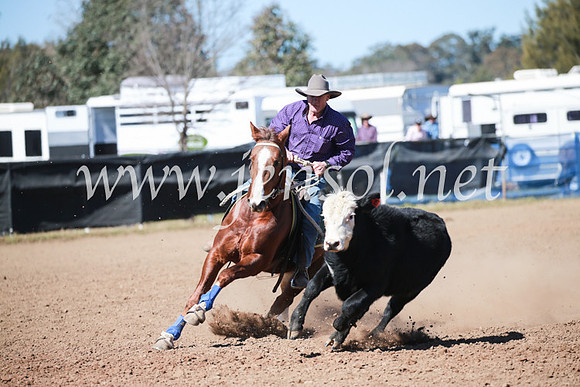 CCCampdraft2016_5801