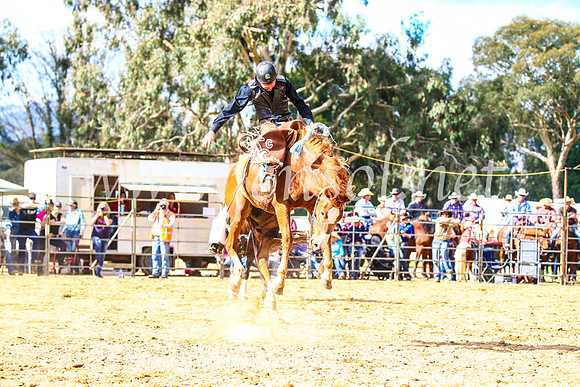 TumutRodeo2017_1601