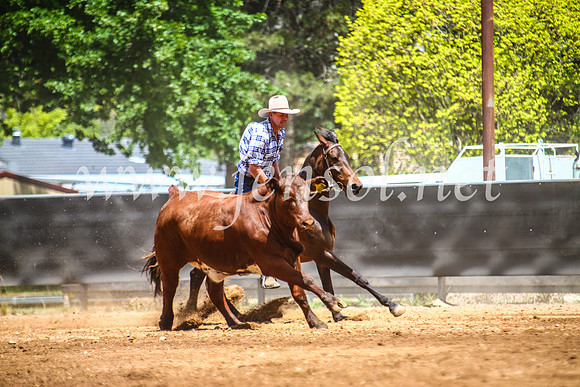 OrangeCampdraft2017_5510