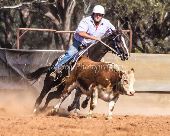 Wwyalong0808