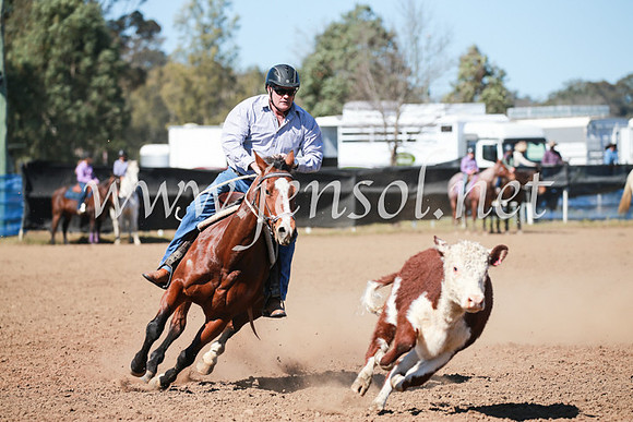 CCCampdraft2016_5834