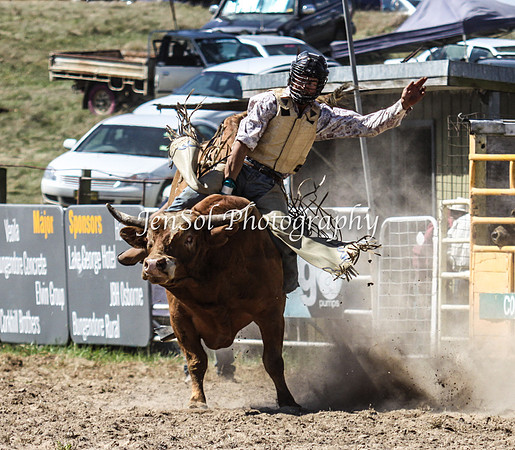 Bungendore2011_1109