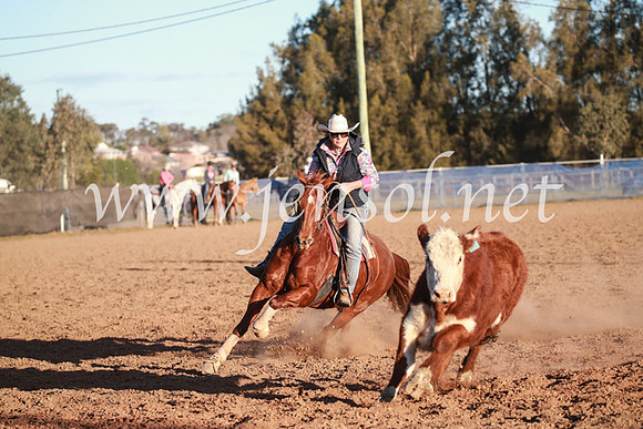 CCCampdraft2016_6891