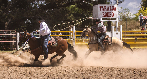 Taralga1_0334