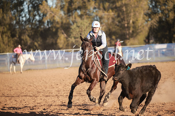 CCCampdraft2016_6911