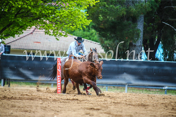 OrangeCampdraft2017_5787