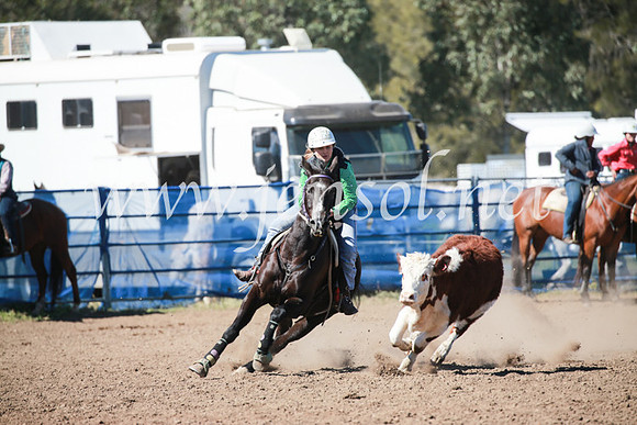 CCCampdraft2016_5745