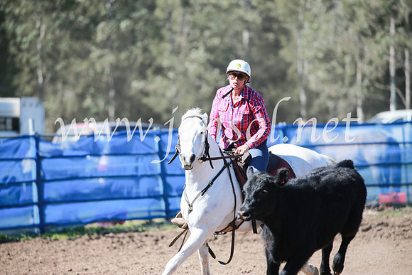 CCCampdraft2016_5794
