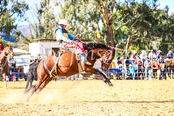 TumutRodeo2017_1801