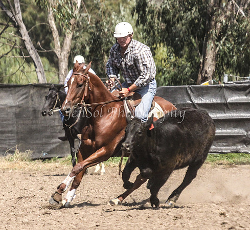 GundiOpen1_0339