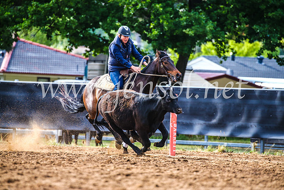 OrangeCampdraft2017_3900