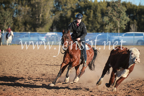 CCCampdraft2016_6783